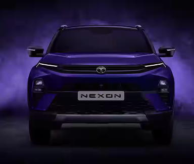 Electric cars at Luxon